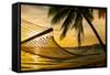 Hammock Silhouette with Palm Trees on a Beautiful Beach at Sunset-Martin Valigursky-Framed Stretched Canvas