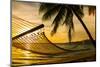 Hammock Silhouette with Palm Trees on a Beautiful Beach at Sunset-Martin Valigursky-Mounted Photographic Print
