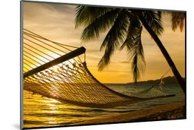 Hammock Silhouette with Palm Trees on a Beautiful Beach at Sunset-Martin Valigursky-Mounted Photographic Print