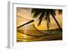 Hammock Silhouette with Palm Trees on a Beautiful Beach at Sunset-Martin Valigursky-Framed Photographic Print