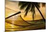 Hammock Silhouette with Palm Trees on a Beautiful Beach at Sunset-Martin Valigursky-Mounted Photographic Print