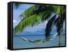 Hammock, Tahiti, Society Islands, French Polynesia, South Pacific Islands, Pacific-Sylvain Grandadam-Framed Stretched Canvas