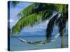 Hammock, Tahiti, Society Islands, French Polynesia, South Pacific Islands, Pacific-Sylvain Grandadam-Stretched Canvas