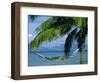 Hammock, Tahiti, Society Islands, French Polynesia, South Pacific Islands, Pacific-Sylvain Grandadam-Framed Photographic Print