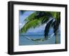 Hammock, Tahiti, Society Islands, French Polynesia, South Pacific Islands, Pacific-Sylvain Grandadam-Framed Photographic Print