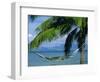 Hammock, Tahiti, Society Islands, French Polynesia, South Pacific Islands, Pacific-Sylvain Grandadam-Framed Photographic Print