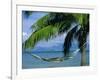 Hammock, Tahiti, Society Islands, French Polynesia, South Pacific Islands, Pacific-Sylvain Grandadam-Framed Photographic Print