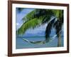 Hammock, Tahiti, Society Islands, French Polynesia, South Pacific Islands, Pacific-Sylvain Grandadam-Framed Photographic Print