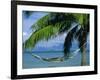 Hammock, Tahiti, Society Islands, French Polynesia, South Pacific Islands, Pacific-Sylvain Grandadam-Framed Photographic Print