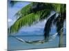 Hammock, Tahiti, Society Islands, French Polynesia, South Pacific Islands, Pacific-Sylvain Grandadam-Mounted Photographic Print