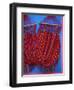 Hammock, Taquira, Boyaca Region, Colombia, South America-D Mace-Framed Photographic Print