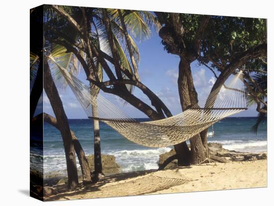 Hammock Tied Between Trees, North Shore Beach, St Croix, US Virgin Islands-Alison Jones-Stretched Canvas