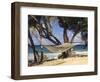 Hammock Tied Between Trees, North Shore Beach, St Croix, US Virgin Islands-Alison Jones-Framed Photographic Print