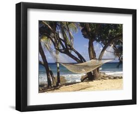 Hammock Tied Between Trees, North Shore Beach, St Croix, US Virgin Islands-Alison Jones-Framed Photographic Print