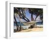 Hammock Tied Between Trees, North Shore Beach, St Croix, US Virgin Islands-Alison Jones-Framed Photographic Print