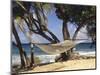 Hammock Tied Between Trees, North Shore Beach, St Croix, US Virgin Islands-Alison Jones-Mounted Photographic Print