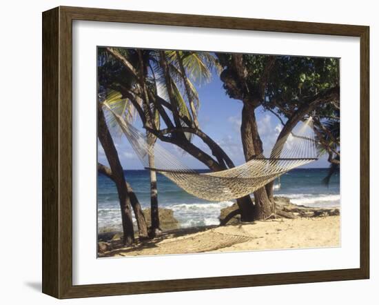 Hammock Tied Between Trees, North Shore Beach, St Croix, US Virgin Islands-Alison Jones-Framed Photographic Print