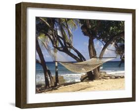 Hammock Tied Between Trees, North Shore Beach, St Croix, US Virgin Islands-Alison Jones-Framed Photographic Print