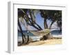 Hammock Tied Between Trees, North Shore Beach, St Croix, US Virgin Islands-Alison Jones-Framed Photographic Print