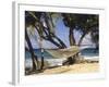 Hammock Tied Between Trees, North Shore Beach, St Croix, US Virgin Islands-Alison Jones-Framed Photographic Print