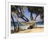 Hammock Tied Between Trees, North Shore Beach, St Croix, US Virgin Islands-Alison Jones-Framed Photographic Print