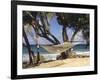 Hammock Tied Between Trees, North Shore Beach, St Croix, US Virgin Islands-Alison Jones-Framed Photographic Print