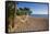 Hammock, Turner's Beach, St. Mary, Antigua, Leeward Islands-Frank Fell-Framed Stretched Canvas