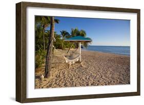 Hammock, Turner's Beach, St. Mary, Antigua, Leeward Islands-Frank Fell-Framed Photographic Print