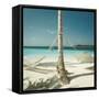 Hammocks Tied to a Palm Tree-null-Framed Stretched Canvas