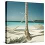 Hammocks Tied to a Palm Tree-null-Stretched Canvas