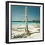 Hammocks Tied to a Palm Tree-null-Framed Photographic Print