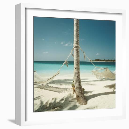 Hammocks Tied to a Palm Tree-null-Framed Photographic Print