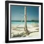 Hammocks Tied to a Palm Tree-null-Framed Photographic Print