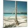 Hammocks Tied to a Palm Tree-null-Mounted Photographic Print