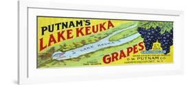 Hammondsport, New York - Putnam's Lake Keuka Concord Grapes Label-Lantern Press-Framed Premium Giclee Print