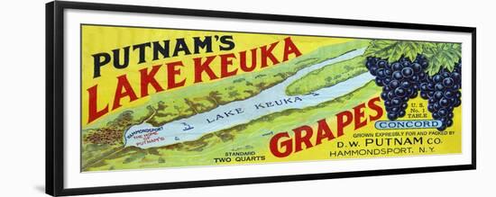Hammondsport, New York - Putnam's Lake Keuka Concord Grapes Label-Lantern Press-Framed Premium Giclee Print