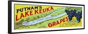 Hammondsport, New York - Putnam's Lake Keuka Concord Grapes Label-Lantern Press-Framed Premium Giclee Print