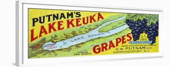 Hammondsport, New York - Putnam's Lake Keuka Concord Grapes Label-Lantern Press-Framed Premium Giclee Print