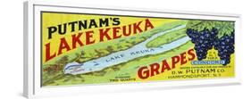 Hammondsport, New York - Putnam's Lake Keuka Concord Grapes Label-Lantern Press-Framed Premium Giclee Print