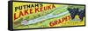 Hammondsport, New York - Putnam's Lake Keuka Concord Grapes Label-Lantern Press-Framed Stretched Canvas