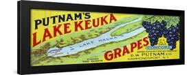 Hammondsport, New York - Putnam's Lake Keuka Concord Grapes Label-Lantern Press-Framed Art Print