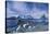 Hamnoy, Lofoten Islands, Norway-ClickAlps-Stretched Canvas