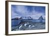 Hamnoy, Lofoten Islands, Norway-ClickAlps-Framed Photographic Print