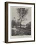 Hampden Park, Eastbourne, Opened by Lord Rosebery, 12 August, the Drive by the Lake-null-Framed Giclee Print