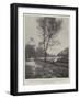 Hampden Park, Eastbourne, Opened by Lord Rosebery, 12 August, the Drive by the Lake-null-Framed Giclee Print