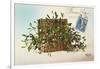 Hamper of Mistletoe-null-Framed Art Print