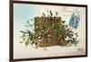 Hamper of Mistletoe-null-Framed Art Print