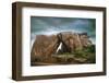 Hampi, Natural Gate-Bluehouseproject-Framed Photographic Print