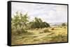 Hampshire Cornfield-Henry Parker-Framed Stretched Canvas