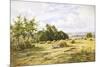 Hampshire Cornfield-Henry Parker-Mounted Giclee Print